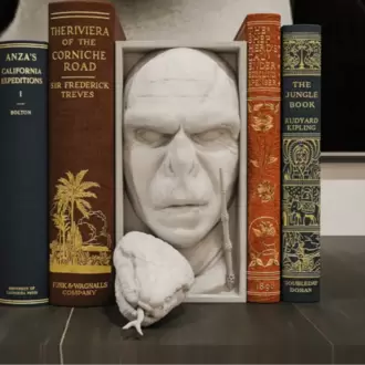 VOLDEMORT KİTAPLIK STANDI