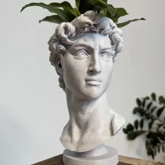 Modern David Büst Saksı