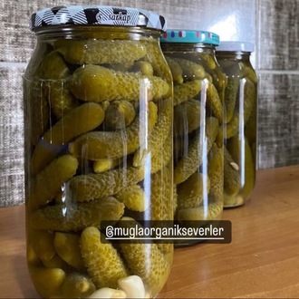 1000cc cam kavanoz Kornişon salatalık turşusu 