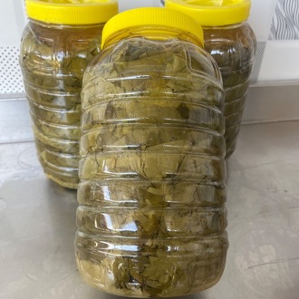 3Lük bidon salamura yaprak 