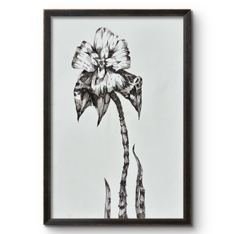 “ Yabani “ Flora