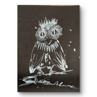 “ Owl “ Animal Series