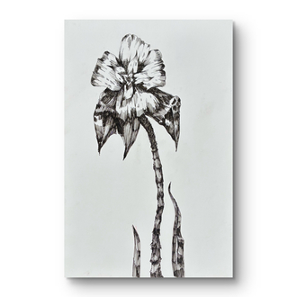 “ Yabani “ Flora