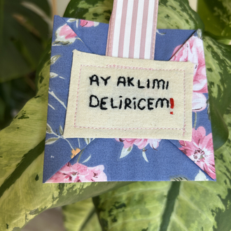 Broş (ay aklımı deliricem)
