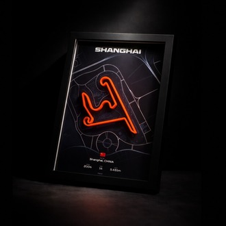 SHANGHAI INTERNATIONAL CIRCUIT 3D PİST TABLOSU