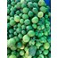  Limon (1KG) 