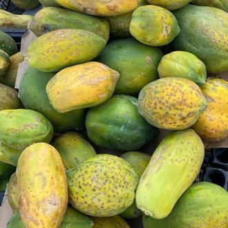 Papaya (Ağaç Kavunu) (Adet)