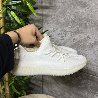 Adidas Yezzy 350