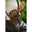 Nanni Brown Leo