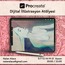 Procreate Program ve İllustrasyon Atölyesi