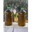 5 litre naturel sızma zeytinyağı