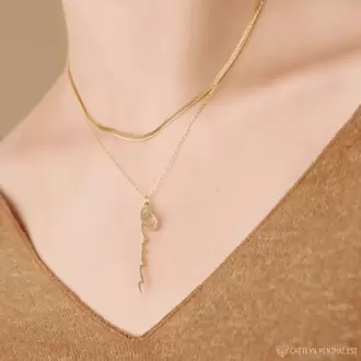 Navan 925 Ayar Gümüş İsimli Dikey Kolye (Gold, Silver ve Rose)