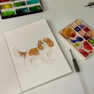 Suluboya Başlangıç Kiti | KÖPEK