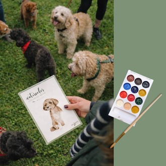 Suluboya Başlangıç Kiti | KÖPEK