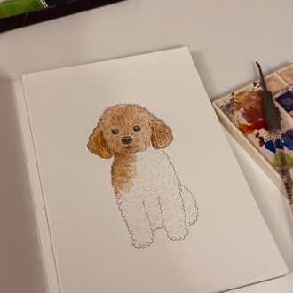 Suluboya Başlangıç Kiti | KÖPEK