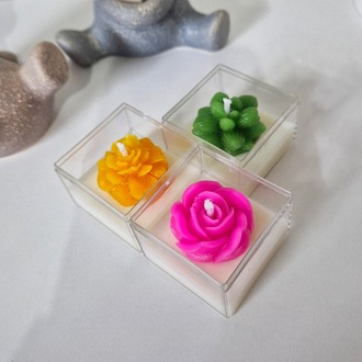 Pure Botanica