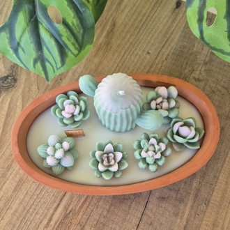 Terra Verde 1