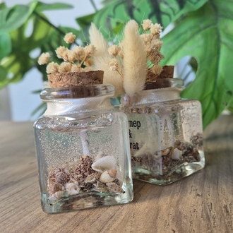 Seashell Anı Mumu