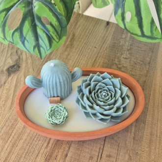 Terra Verde 2
