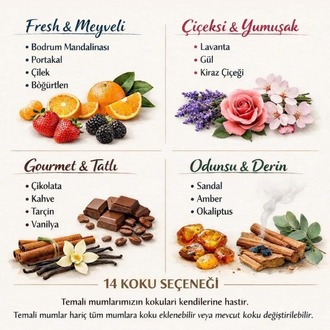 Seashell Anı Mumu