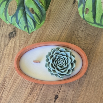 Terra Verde 3