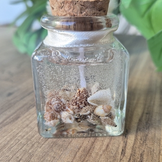 Seashell Anı Mumu