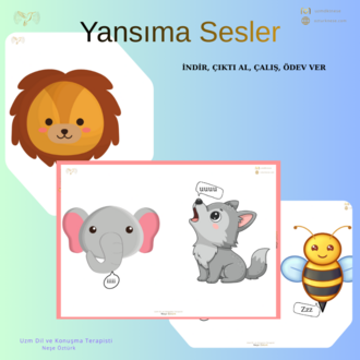 Yansıma Sesler
