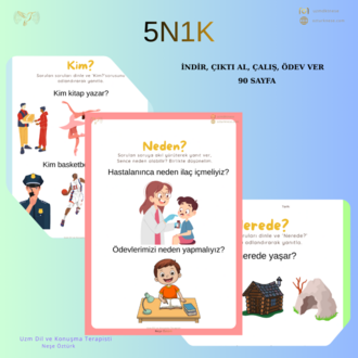 5N1K