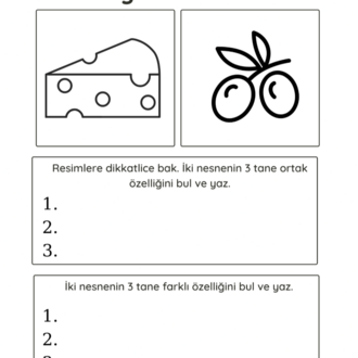 Aynı-Farklı