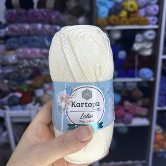 Kartopu Lotus K025