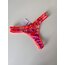 Nelly Bra Set // Limited Edition 