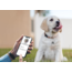 QR Köpek Hazır Dinamik Karekod (Sticker olarak) sipariş min. 10 adet