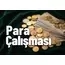 Para Çalışması