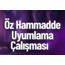 Öz Hammadde Uyumlama Çalışması