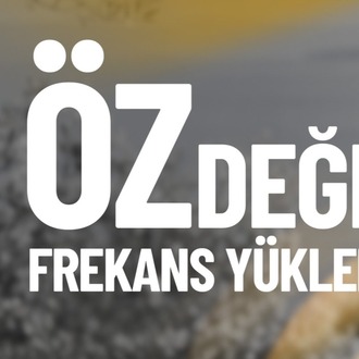 ÖZDEĞER FREKANS YÜKLEMESİ