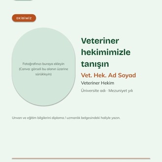 Vetta Sosyal Medya Kiti — Veteriner Kliniği İçin 44 Instagram Tasarımı