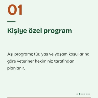 Vetta Sosyal Medya Kiti — Veteriner Kliniği İçin 44 Instagram Tasarımı