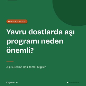 Vetta Sosyal Medya Kiti — Veteriner Kliniği İçin 44 Instagram Tasarımı