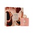 Amouage Guidance 3 ml Decant