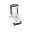 Xerjoff Nio 2 ml Decant