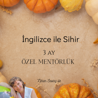 3 Ay Özel Birebir İngilizce Mentörlük Programı 