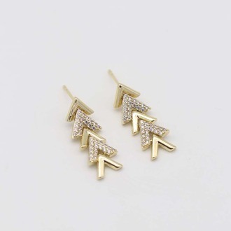 Vip 14K Küpe