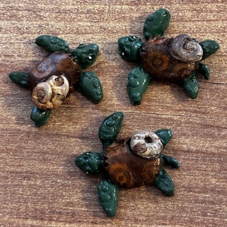 turtle