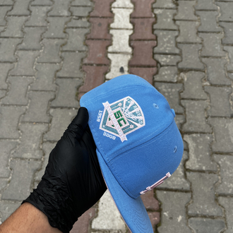 Los Angeles Dodgers Palm Tree Blue Fitted Cap