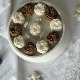 Mocha Bloom 