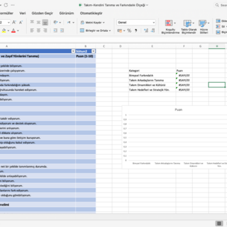 Takım Kendini Tanıma Farkındalık Ölçeği(Excel- Grafikli Sonuçlar)