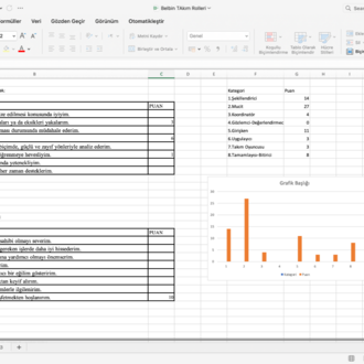 Belbin Takım Rolleri Ölçeği (Excel-Grafikli Sonuçlar)