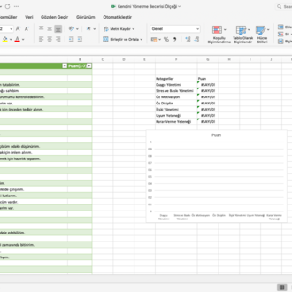 Kendini Yönetme Becerileri Ölçeği(Excel-Grafikli Sonuçlar)