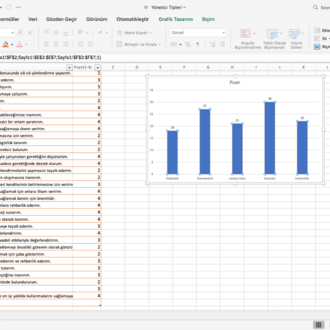Yönetici Tipleri (Excel-Grafikli Sonuçlar)