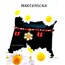 marteniçka bileklik